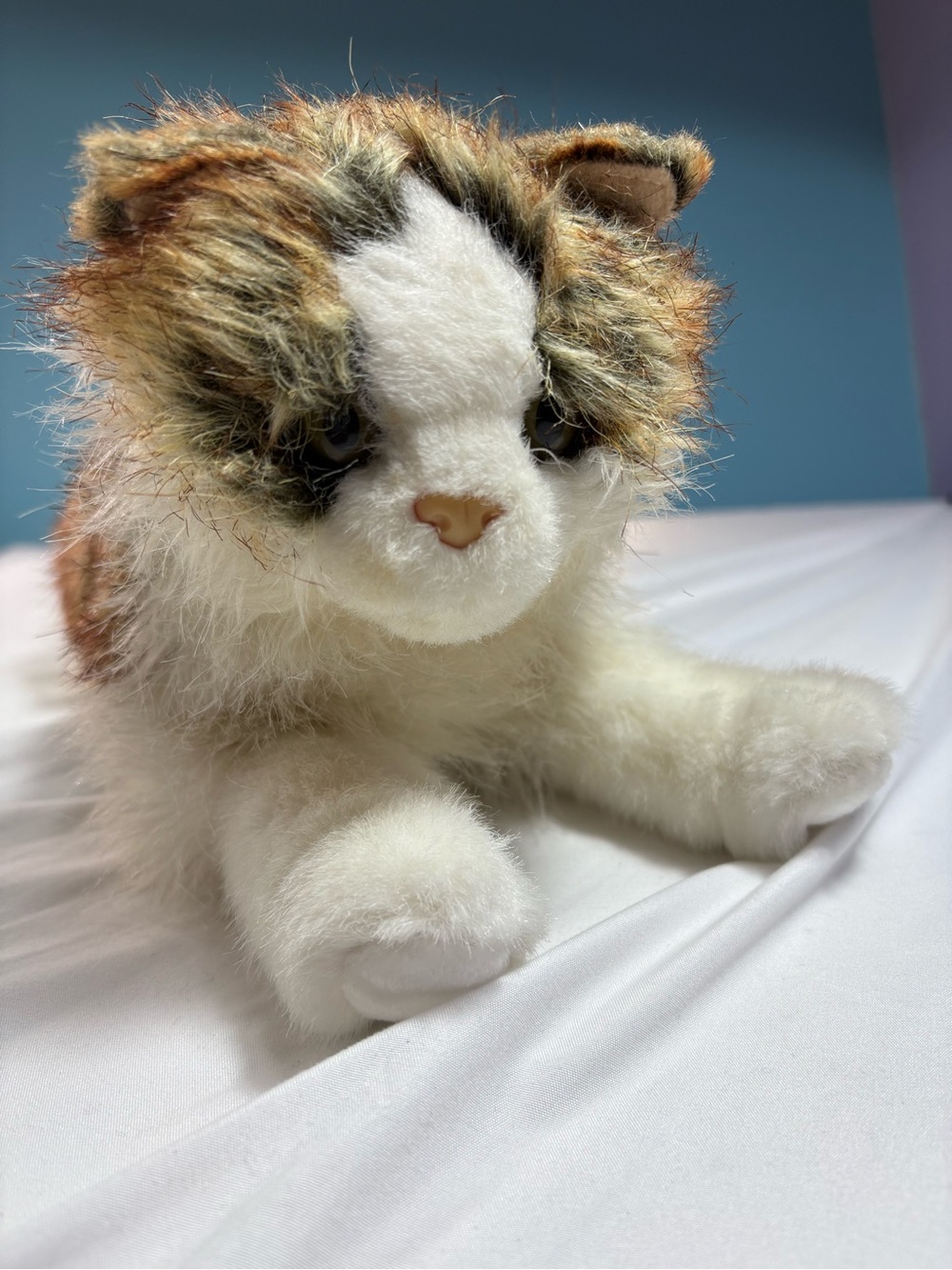 Douglas cuddle toy realistic maya the cat rare retired plush